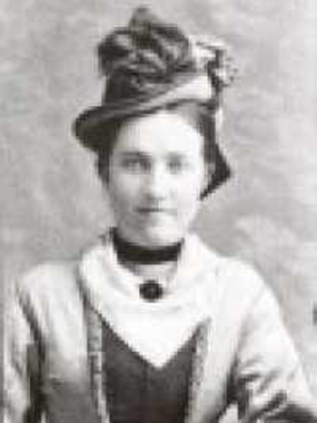 Mary Amelia Rollins (1843 - 1917) Profile